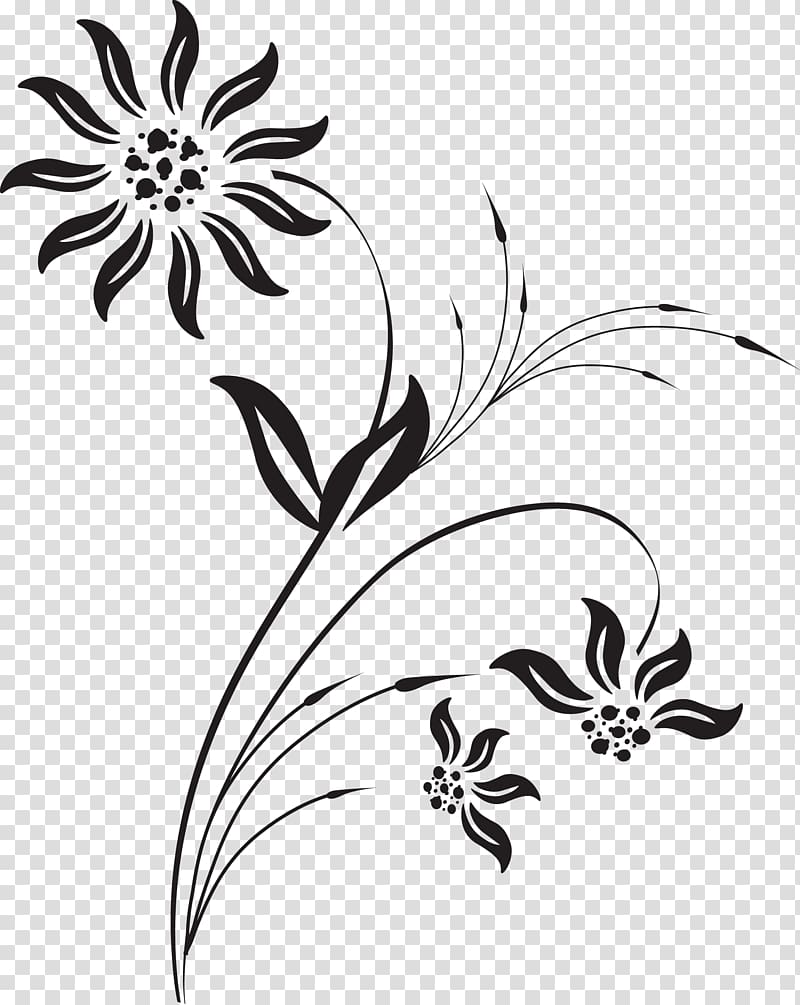 Plants Trivia Drawing Cartoon, plant transparent background PNG clipart