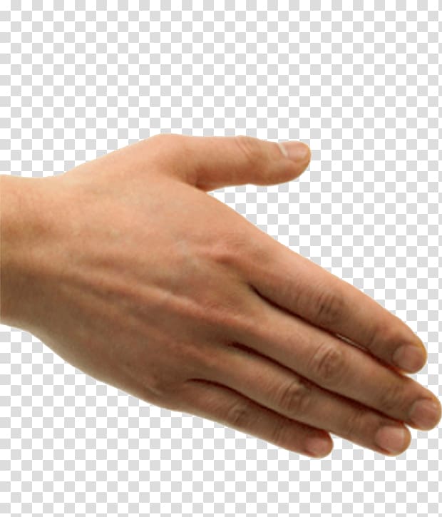 Handshake Etiquette , hand transparent background PNG clipart