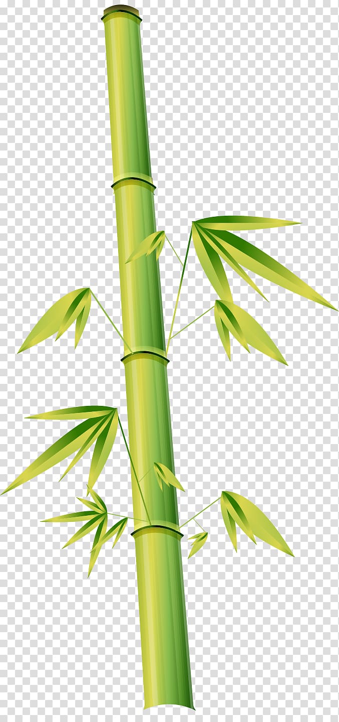 Bamboo Euclidean Cartoon Illustration, Hand-painted bamboo transparent background PNG clipart