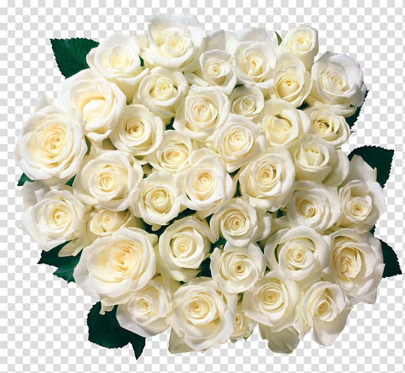 white roses bouquet illustration, Garden roses Flower bouquet , Whire Roses transparent background PNG clipart