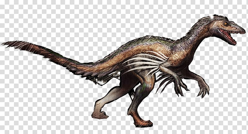 Velociraptor Troodon ARK: Survival Evolved Tyrannosaurus Pegomastax, dinosaur transparent background PNG clipart