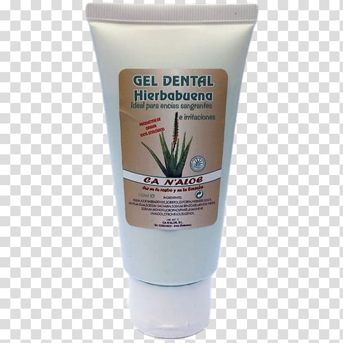 L\'aloe vera : toutes les vertus d\'un produit miracle Cream Toothpaste, toothpaste transparent background PNG clipart
