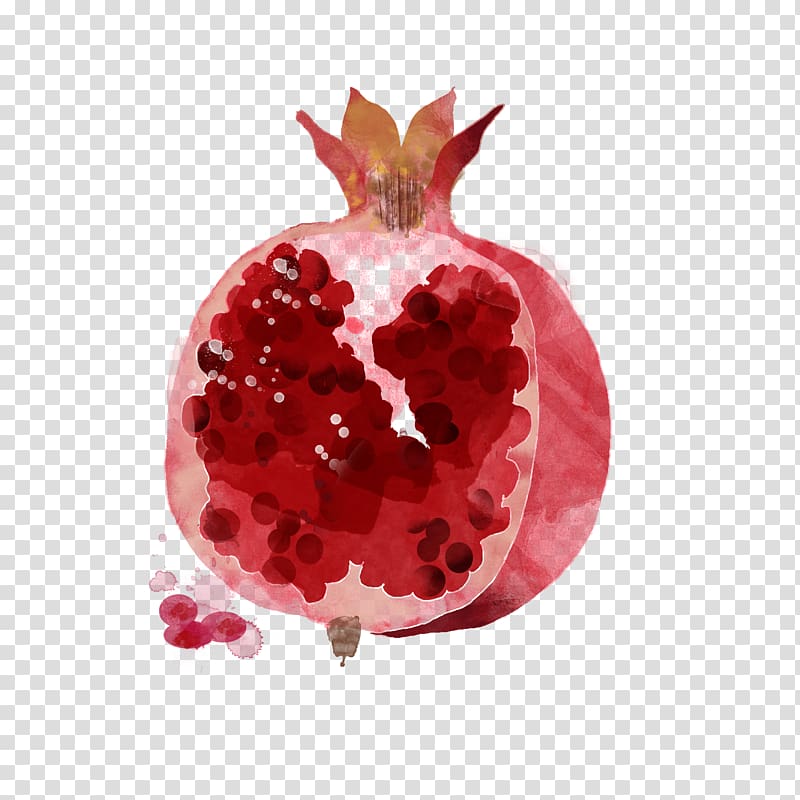 red pomegranate fruit, Watercolor painting Drawing Fruit Illustration, Hand-painted pomegranate transparent background PNG clipart