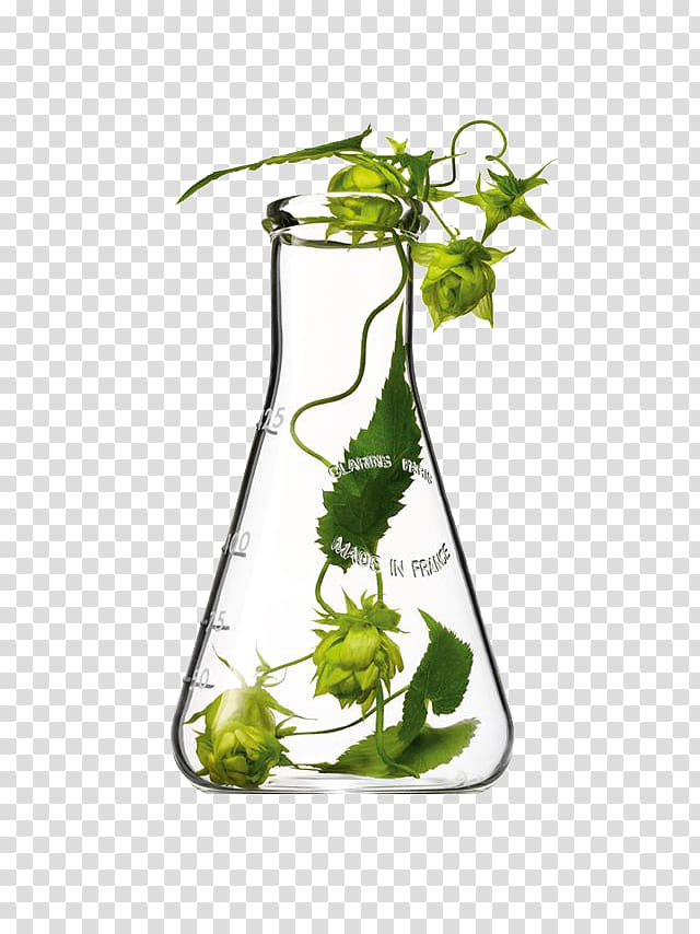 Cosmetics Clarins Skin care Still life , Beaker plant transparent background PNG clipart