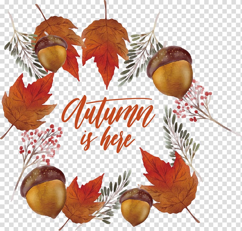 Leaf Euclidean , Pine cone maple leaf decoration box transparent background PNG clipart