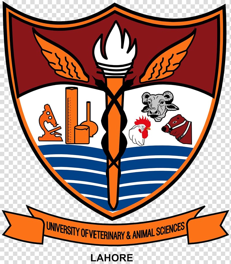 College of Veterinary and Animal Sciences, Jhang University Of Veterinary & Animal Sciences Ravi Campus Education Student, merit transparent background PNG clipart