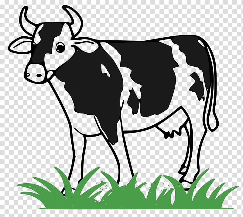 Holstein Friesian cattle Milk Dairy cattle Live , cow transparent background PNG clipart