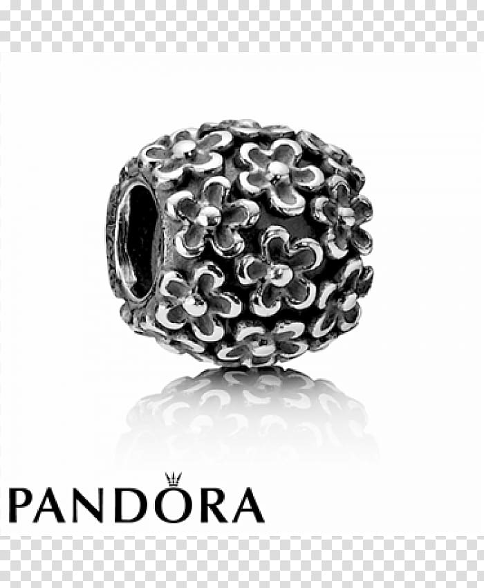 Pandora Charm bracelet Flower Silver Jewellery, pandora transparent background PNG clipart