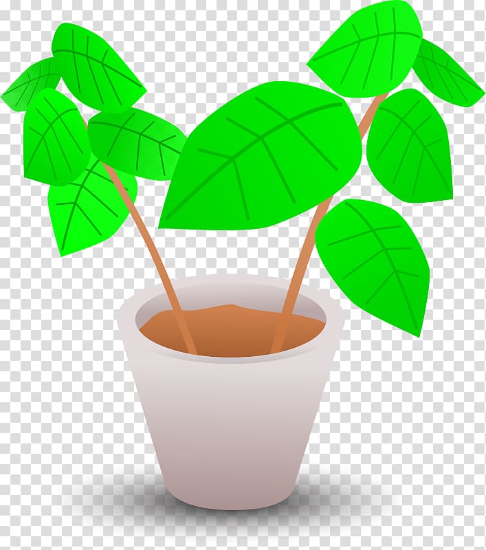 Flowerpot Plant , flower pot transparent background PNG clipart