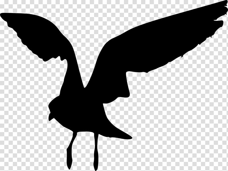 Bird Black and white Monochrome Silhouette, birds silhouette transparent background PNG clipart