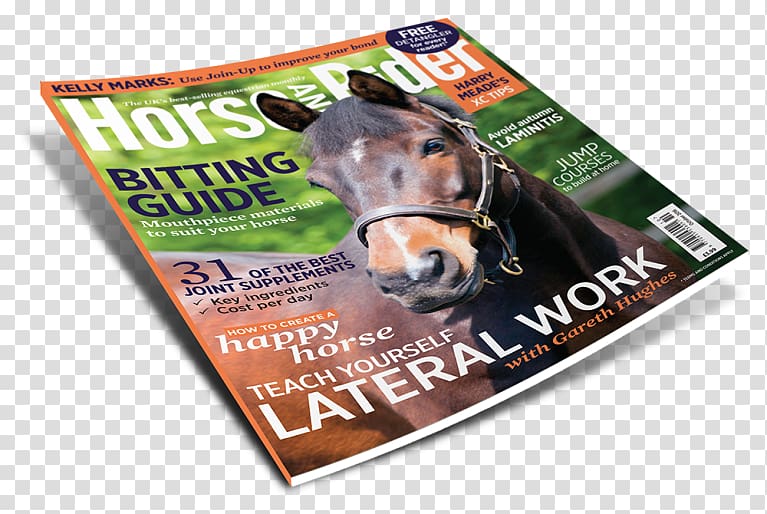 Magazine Brand Snout, horse rider transparent background PNG clipart