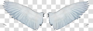 Art, design transparent background PNG clipart thumbnail