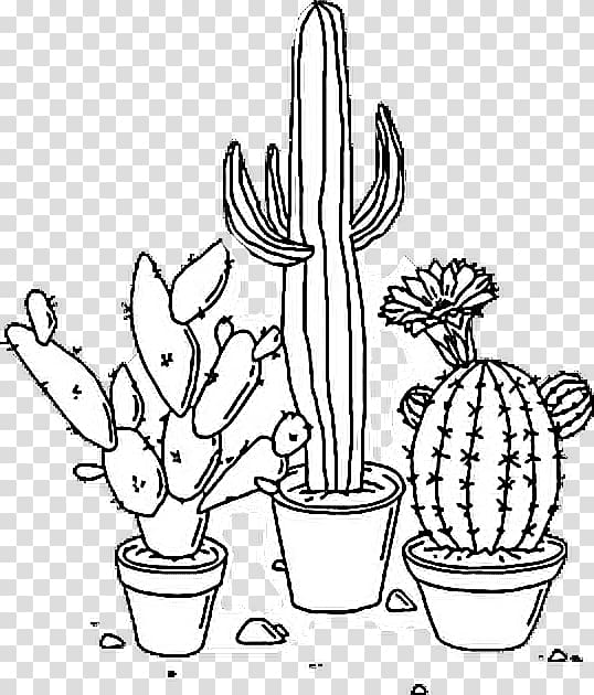 Drawing Taurus Art Lock screen, cactus flower transparent background PNG clipart