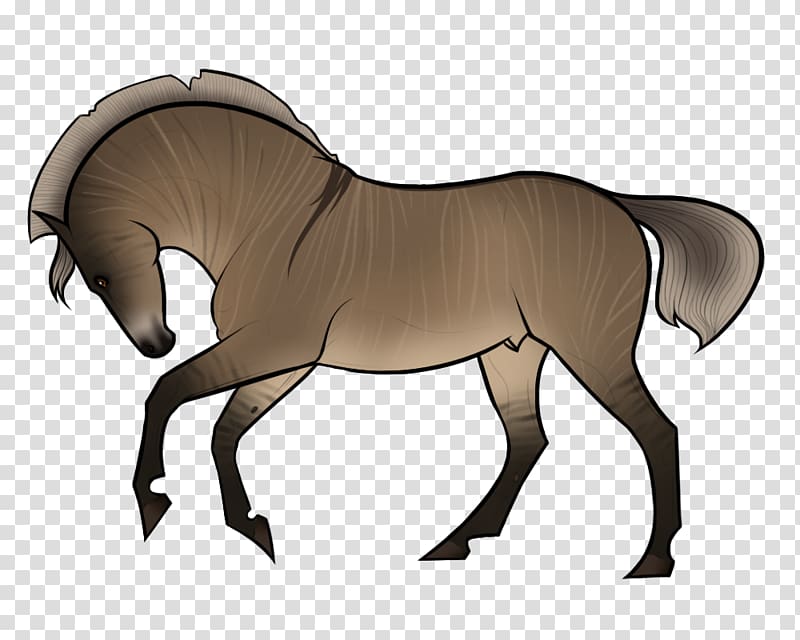 Mane Pony Foal Stallion Rein, Canter And Gallop transparent background PNG clipart