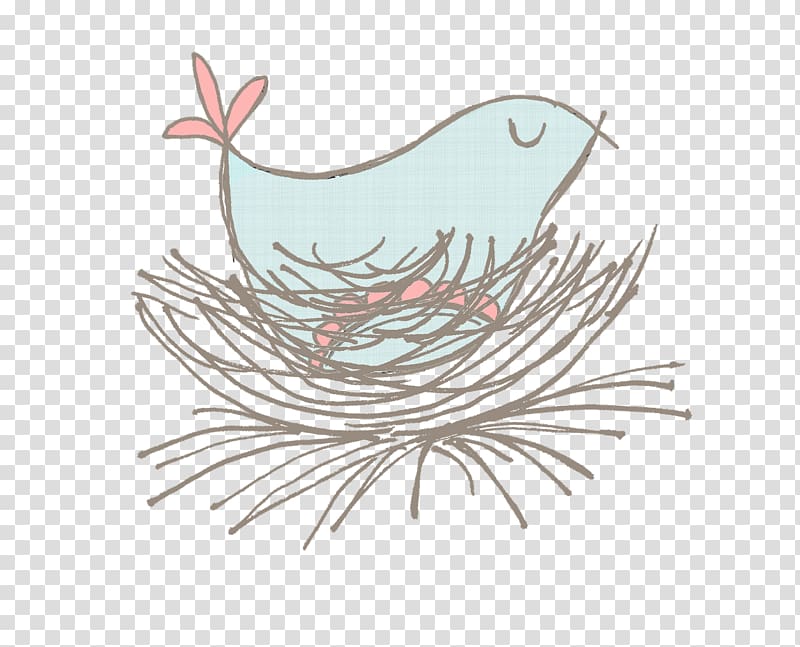 Chicken Bird Galliformes Drawing, nest transparent background PNG clipart