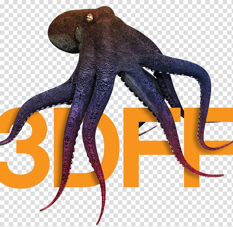 Octopus 3D Film Festival, Indie Fest transparent background PNG clipart