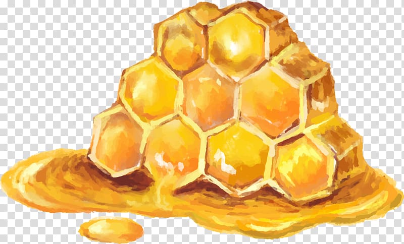 honeycomb and honey, Honey bee Honey bee Mu0101nuka honey Manuka, Honey bees decorative elements transparent background PNG clipart