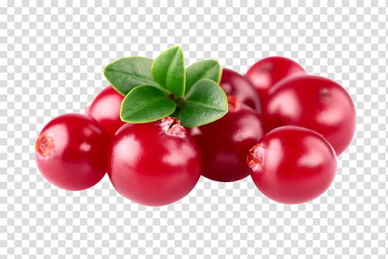 Cranberry Barbados Cherry Zante currant Lingonberry Huckleberry, cranberry transparent background PNG clipart
