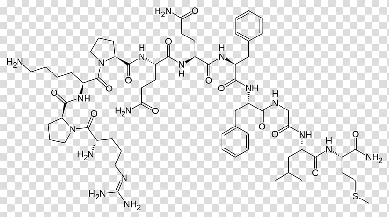Substance P Neuropeptide Neurotransmitter Tachykinin peptides, substanz transparent background PNG clipart