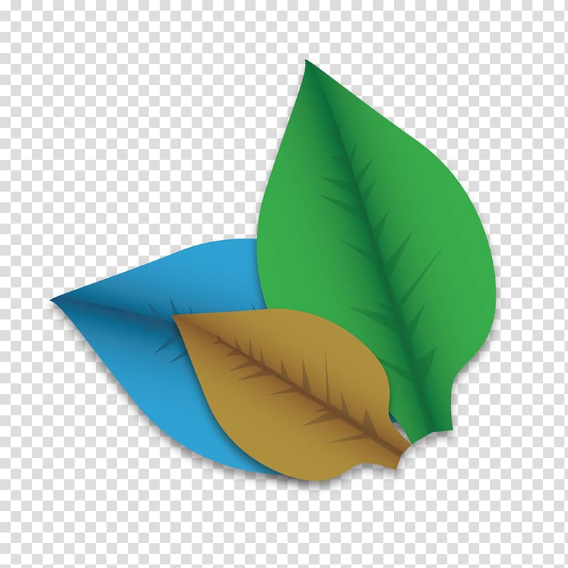 Leaf Euclidean , leaf decoration transparent background PNG clipart