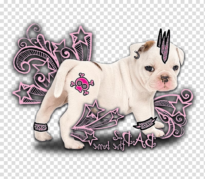Toy Bulldog Puppy love Dog breed, puppy transparent background PNG clipart