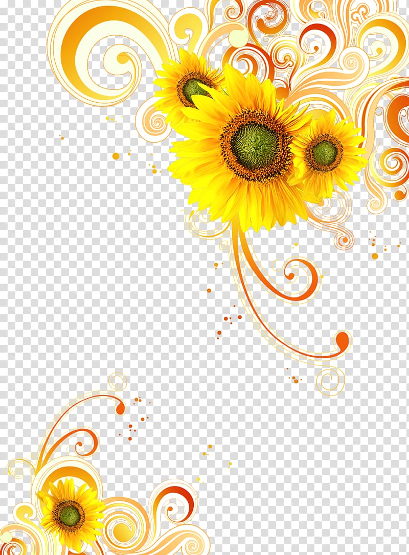 Common sunflower Yellow, Yellow abstract plant transparent background PNG clipart