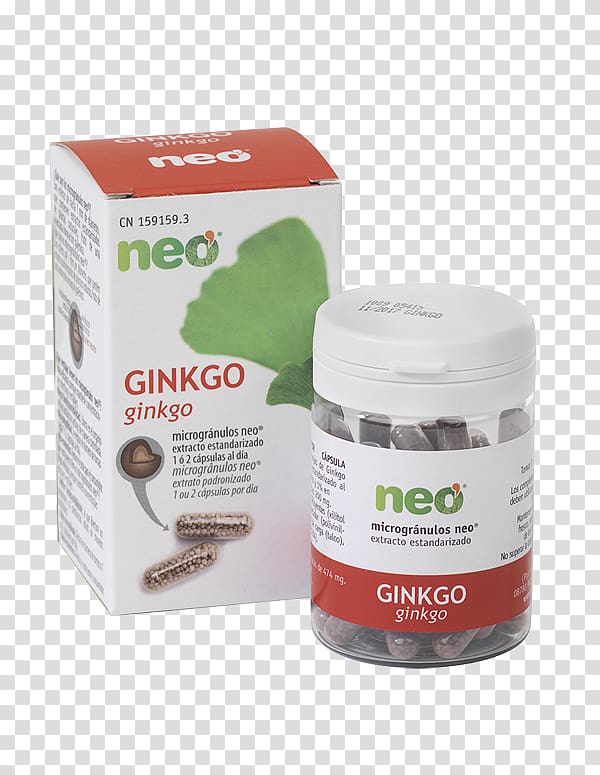 Ginkgo biloba Ginkgoaceae Medicinal plants Herb Capsule, ginkgo-biloba transparent background PNG clipart