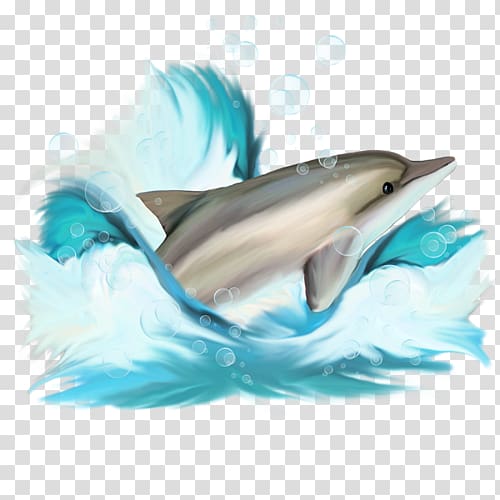 Dolphin , Dolphin Creative transparent background PNG clipart