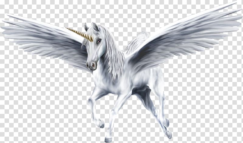 Flying horses Pegasus Winged unicorn, horse transparent background PNG clipart