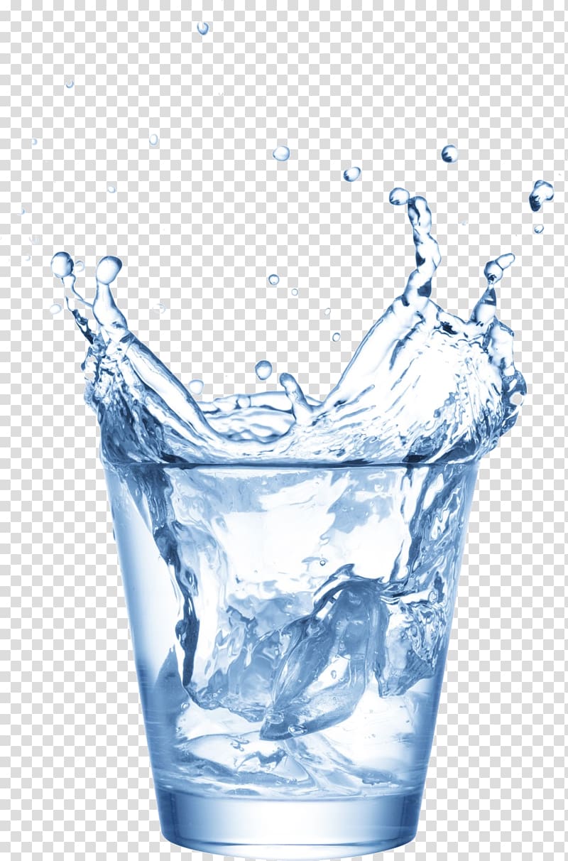 Water Cup 