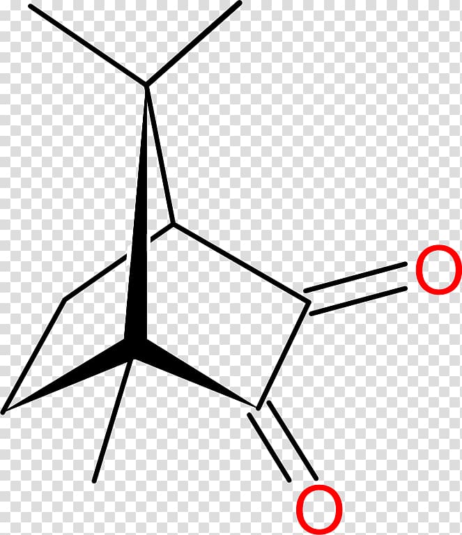 Chemical structure Chemical compound Chemistry Molecule Chemical substance, camphor transparent background PNG clipart