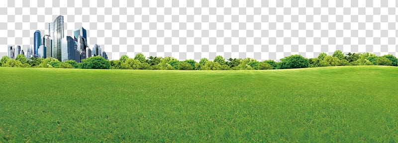 Crop Biome Grassland Rural area Land lot, The green wilderness of the city transparent background PNG clipart