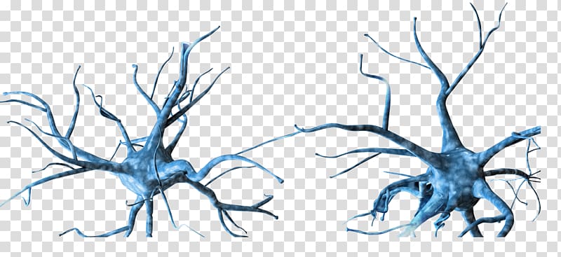 Neuron Nervous system, Holographic transparent background PNG clipart
