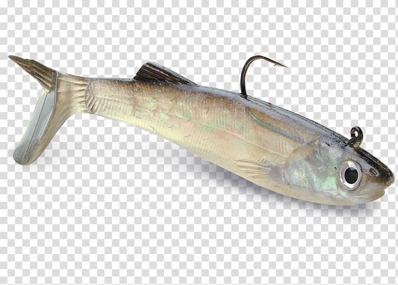 Anchovy Fishing Baits & Lures Soft plastic bait, Anchovy transparent background PNG clipart