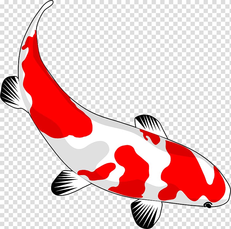 Koi Goldfish Drawing , Asian Culture transparent background PNG clipart