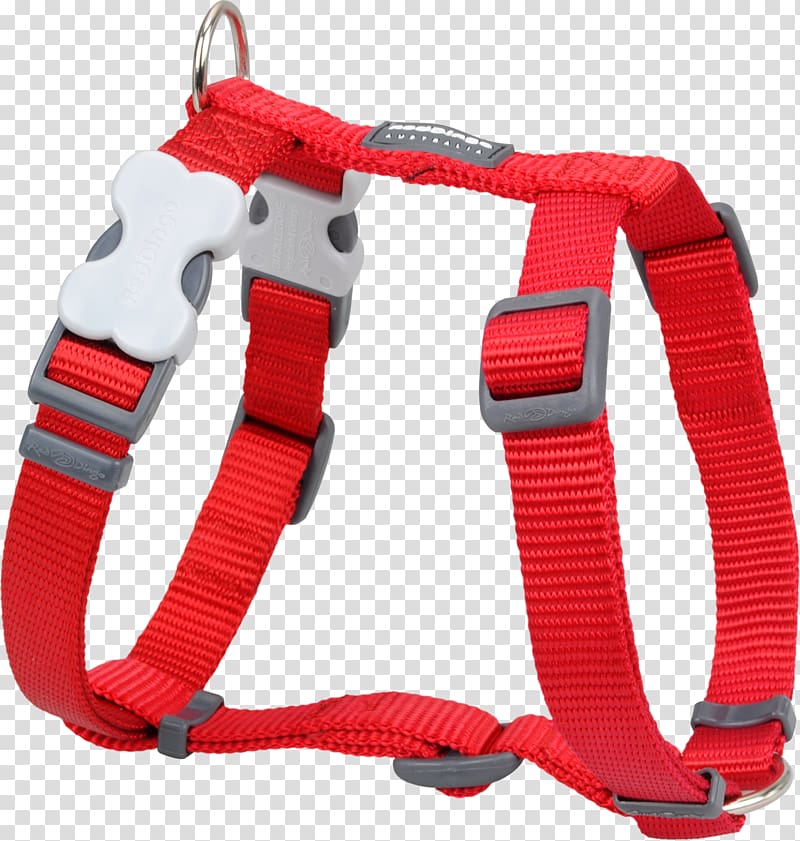 Dog harness Dingo Dog collar Horse Harnesses, red collar dog transparent background PNG clipart
