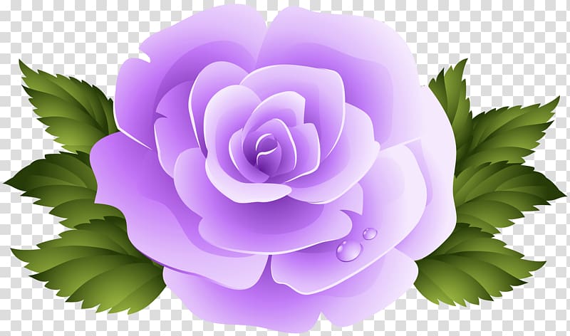 file formats Lossless compression, Purple Rose transparent background PNG clipart