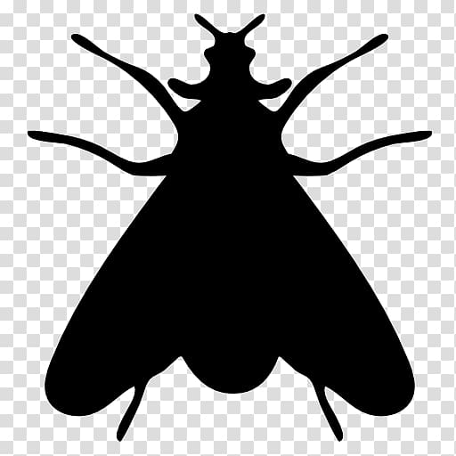 Insect Moth Icon, Silhouette flies transparent background PNG clipart
