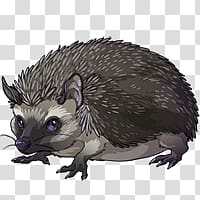 Hedgehog transparent background PNG clipart