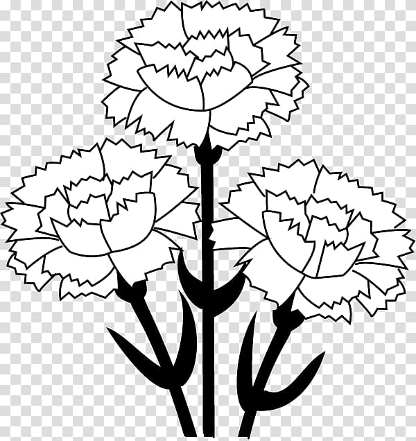 Carnation Free content , Carnation transparent background PNG clipart