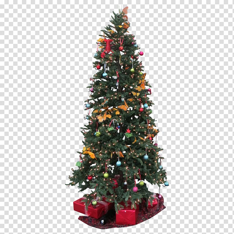 Norway spruce Christmas tree Christmas lights, christmas tree transparent background PNG clipart