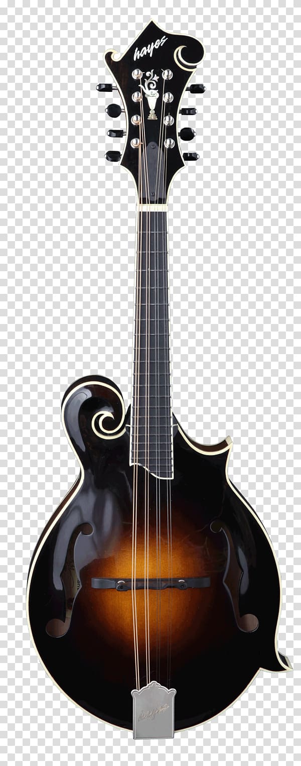 Mandolin Musical Instruments Musician Acoustic guitar, musical instruments transparent background PNG clipart