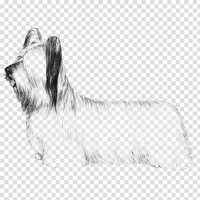 Skye Terrier Glen Australian Silky Terrier Cairn Terrier Cesky Terrier, Norwich Terrier transparent background PNG clipart