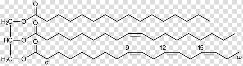 Triglyceride Fatty acid Oleic acid Glycerol, others transparent background PNG clipart