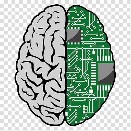 Brain–computer interface Human brain , Brain transparent background PNG clipart
