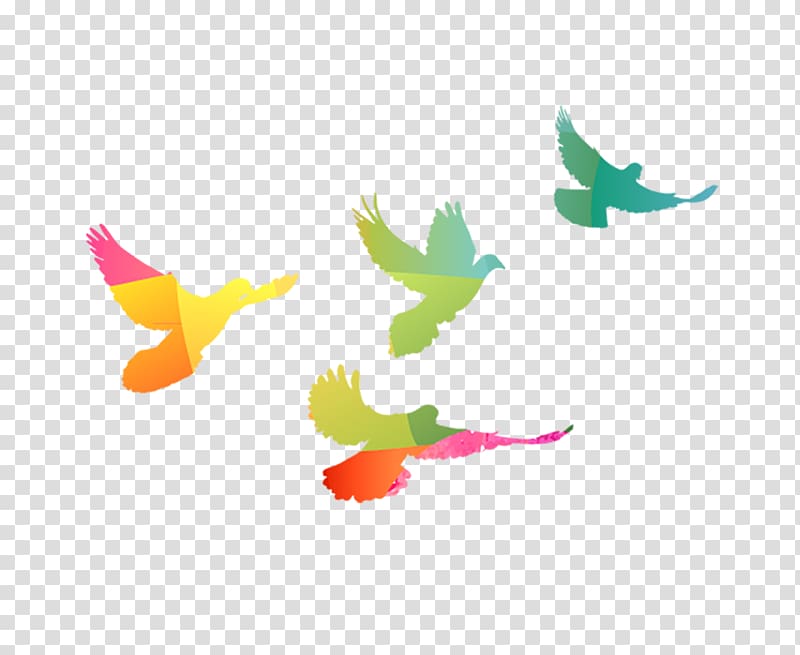 Illustration, Pigeon transparent background PNG clipart