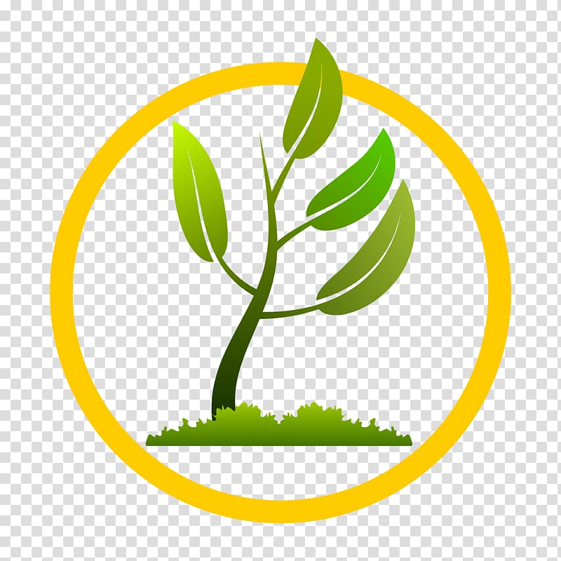 Plant Tree Pruning , growing up healthily transparent background PNG clipart