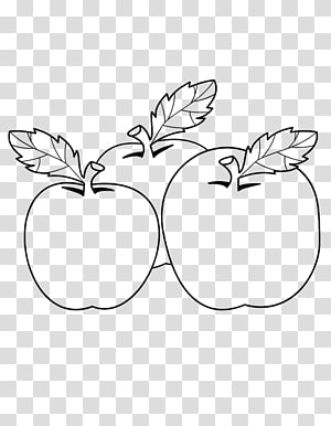Leaf Petal Plant stem , others transparent background PNG clipart thumbnail