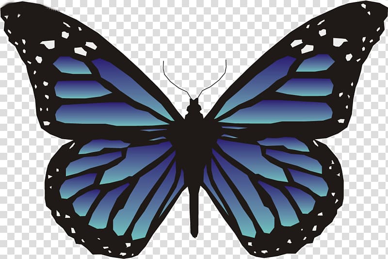 Butterfly Animation , blue butterfly transparent background PNG clipart