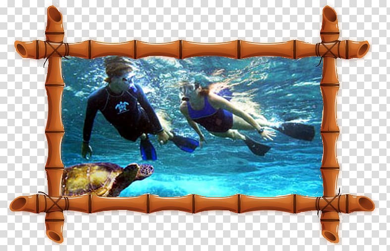 Maui Molokini Lahaina Snorkeling Recreation, Snorkle transparent background PNG clipart